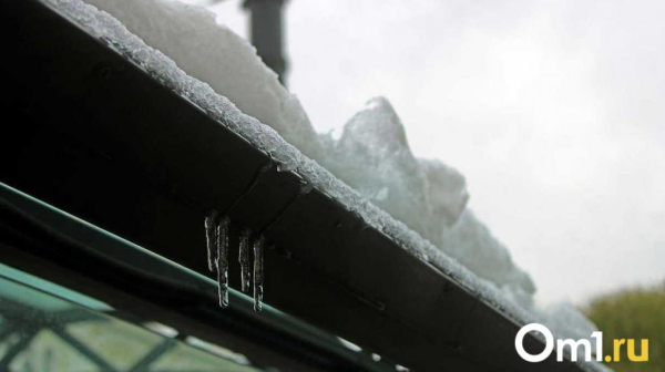 МЧС: после праздников погода в Омской области ощутимо ухудшится